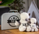 Geboortekoffertje kraamcadeau's nr. 7 AANBIEDING