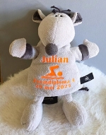 Knuffel muis bedrukt met zwemdiploma gegevens OP=OP