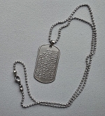 Identiteitsplaatje RVS incl. RVS balletjesketting met karabijnslotje en clipje