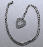 Alzheimer of dementie penning guitar pick RVS inclusief rvs ketting
