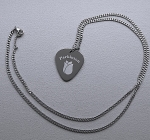 Parkinson penning guitar pick RVS inclusief rvs ketting