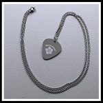 Alzheimer of dementie penning guitar pick RVS 2-zijde gravure inclusief rvs ketting