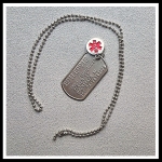 Dogtag epilepsie RVS