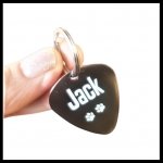 Hondenpenning RVS guitarpick