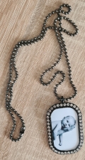 Dogtag met foto strass