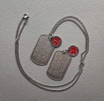 Dogtag alzheimer of dementie RVS incl. medische bedel 