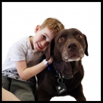 Dogtag silencer for dogs bedrukt