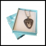 Guitarpick met naam en afbeelding naar keuze RVS