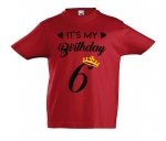 Kinder t-shirt bedrukt met It's my birthday