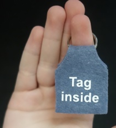 Dogtag silencer for dogs bedrukt 