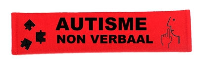 Autogordelhoes autisme non verbaal
