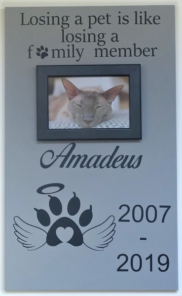 Herinneringsbord kat Wings 50 x 30    
