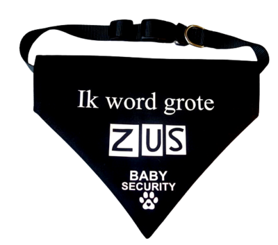 Honden bandana bedrukt met grote broer of zus