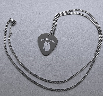 Parkinson penning guitar pick RVS inclusief rvs ketting