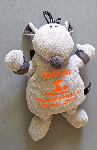 Knuffel muis bedrukt met zwemdiploma gegevens OP=OP