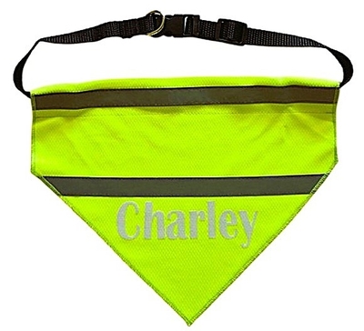 Honden bandana bedrukt met naam glow in the dark